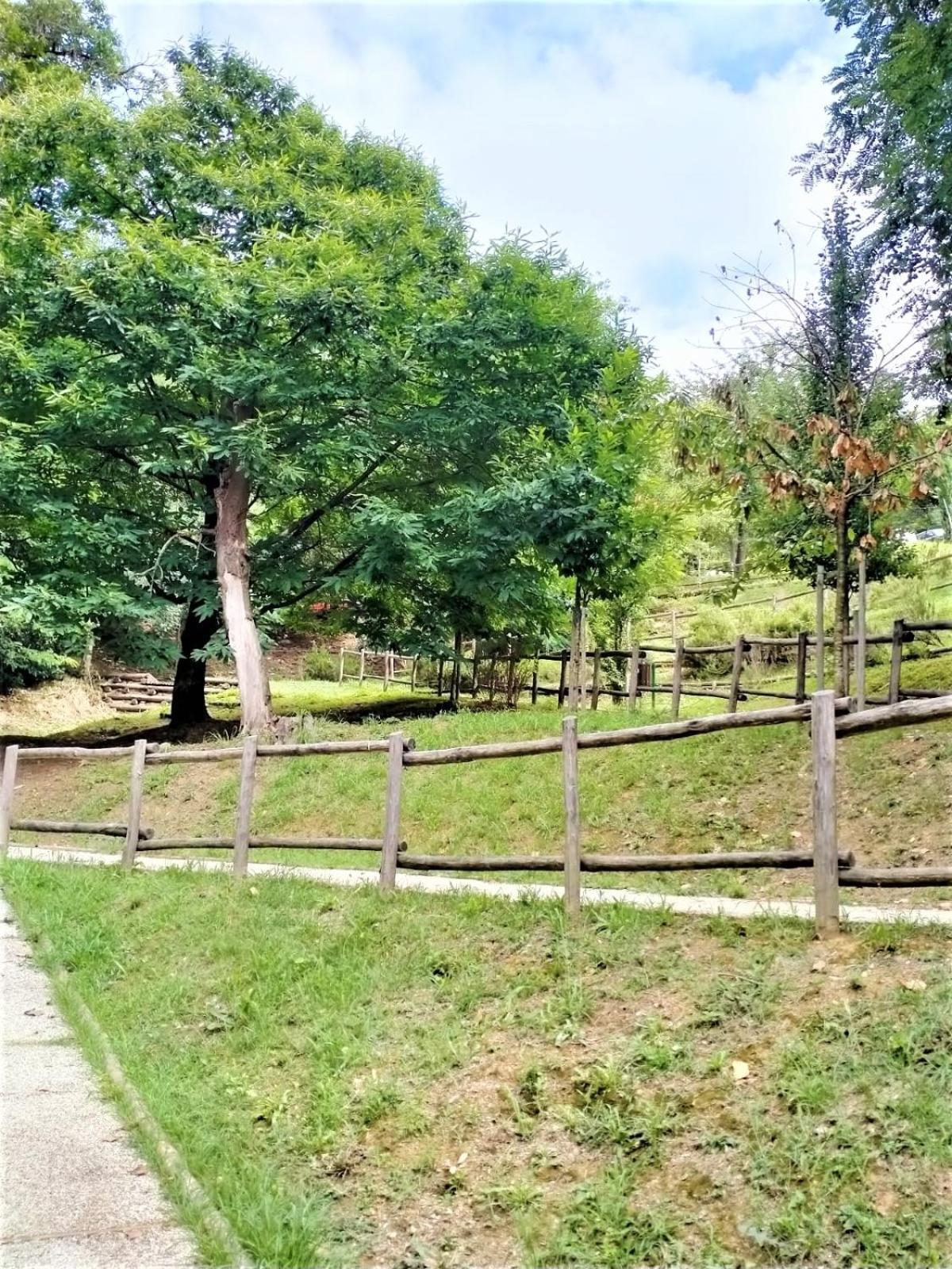 Fronte Del Golf Daire Rapallo Dış mekan fotoğraf