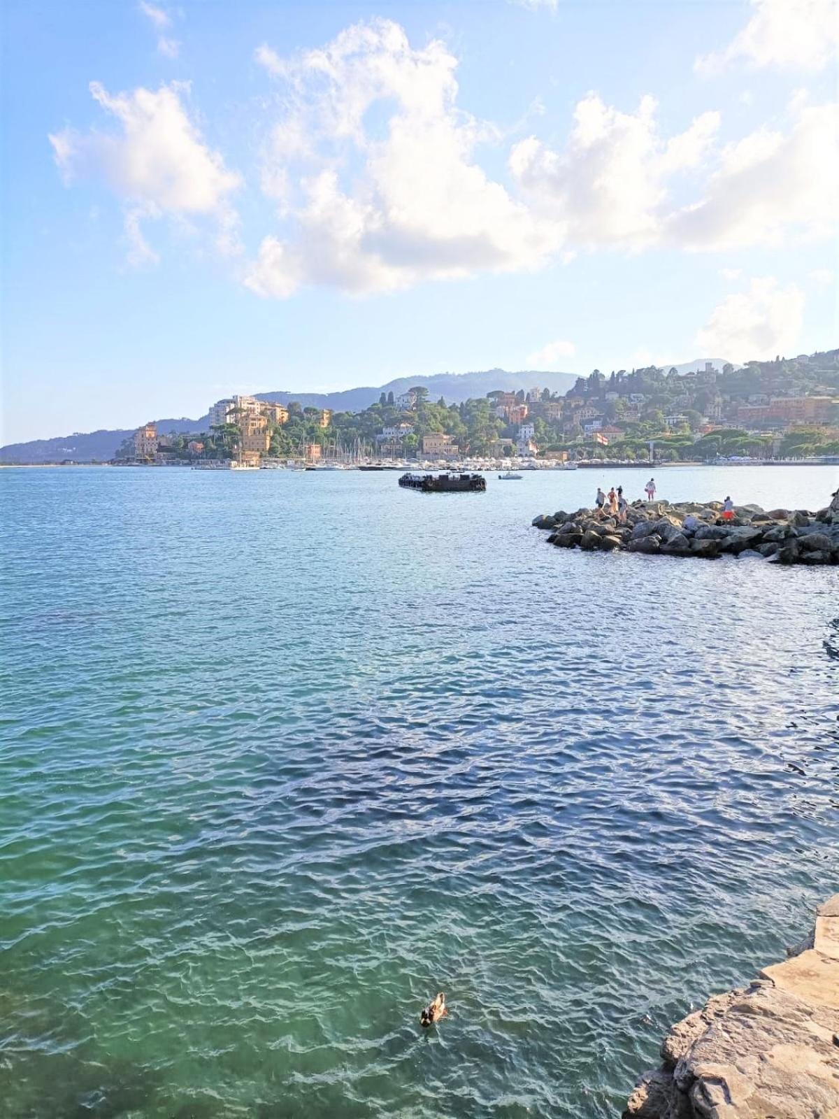 Fronte Del Golf Daire Rapallo Dış mekan fotoğraf