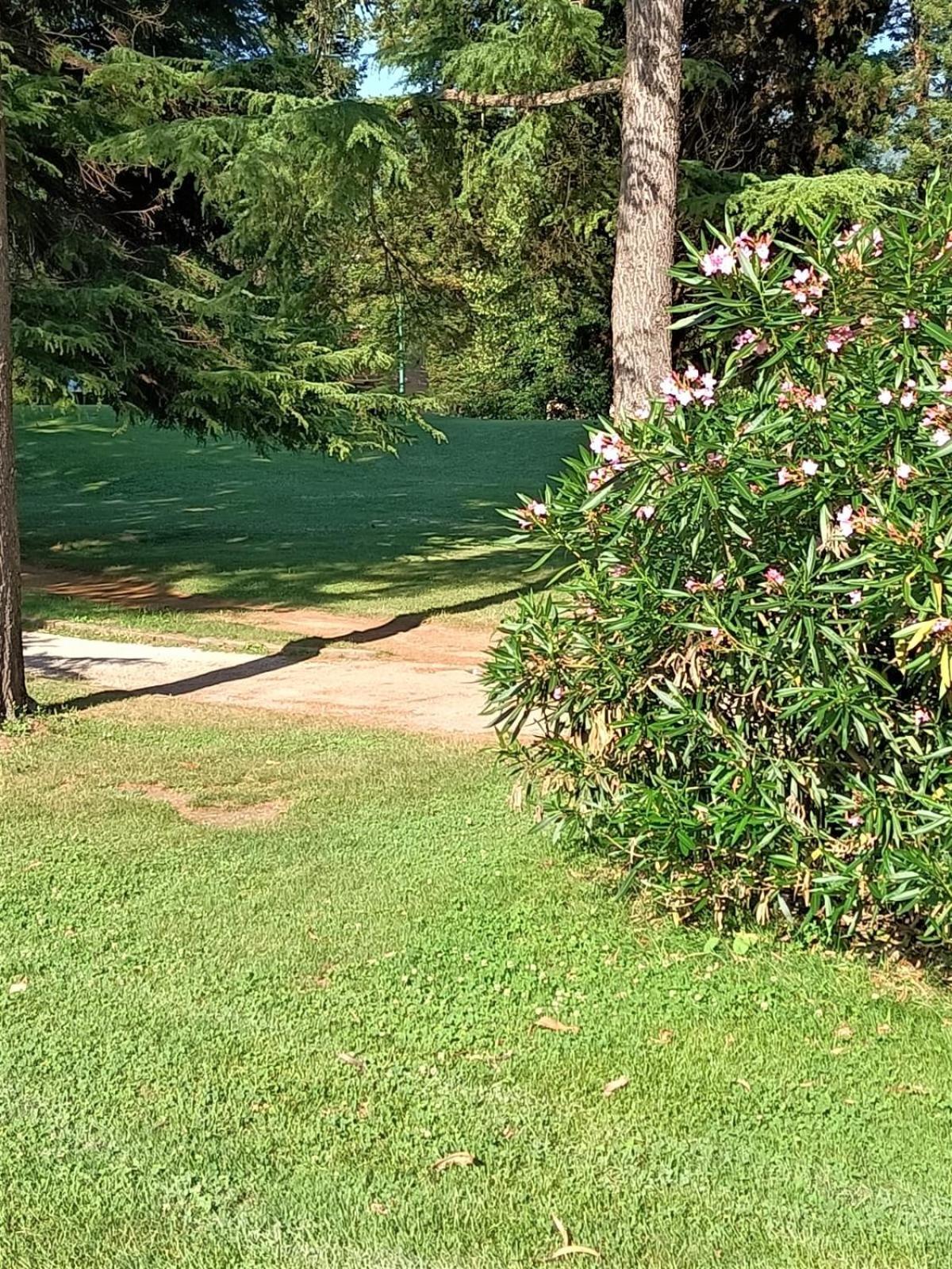 Fronte Del Golf Daire Rapallo Dış mekan fotoğraf