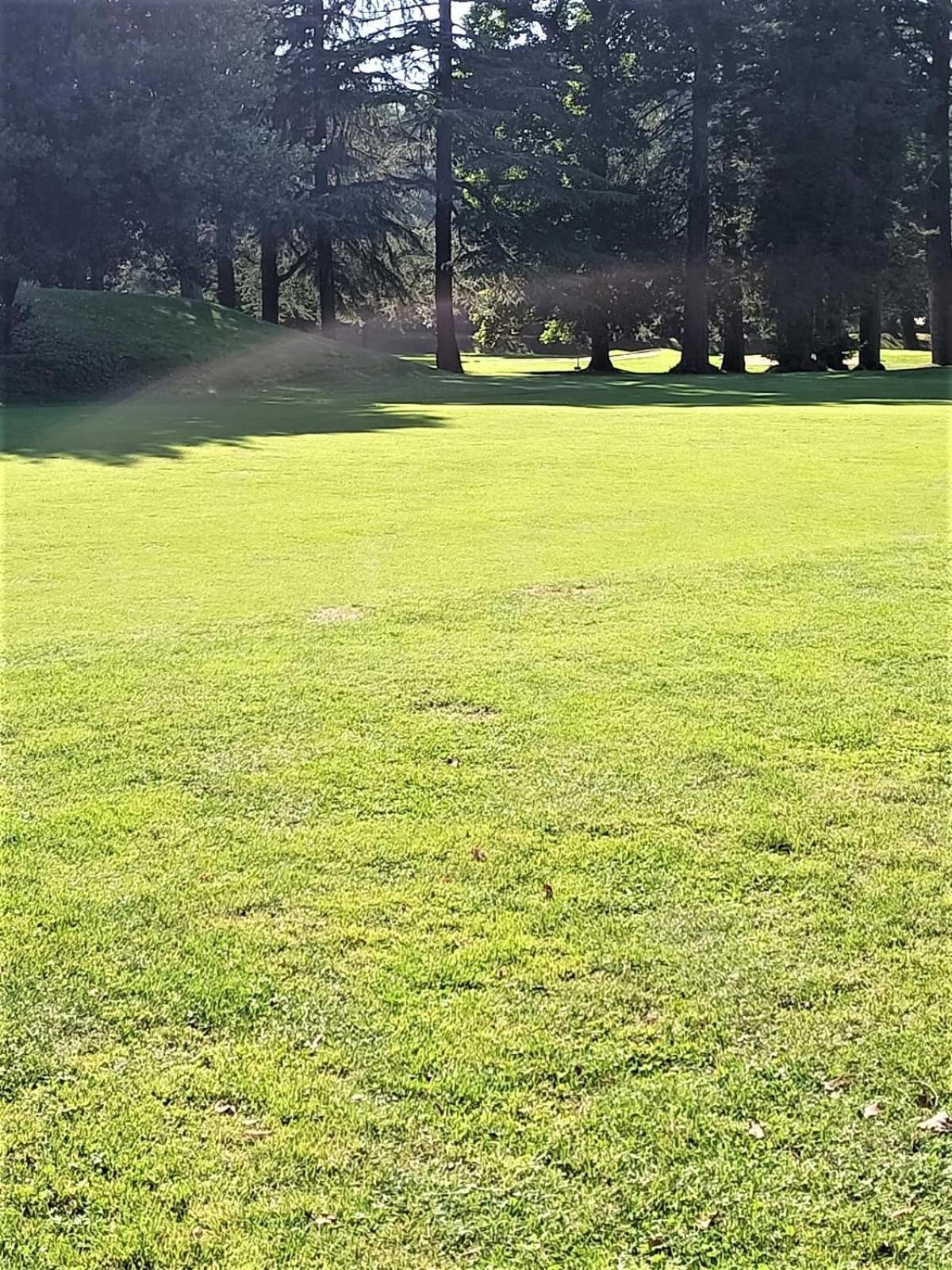 Fronte Del Golf Daire Rapallo Dış mekan fotoğraf