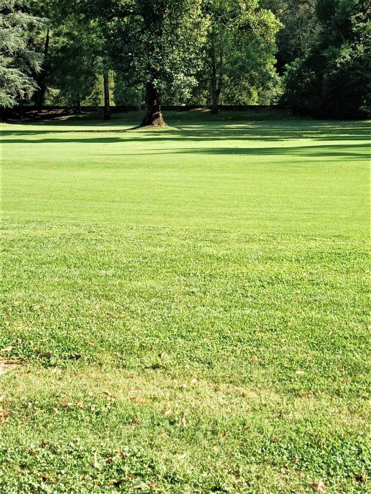 Fronte Del Golf Daire Rapallo Dış mekan fotoğraf
