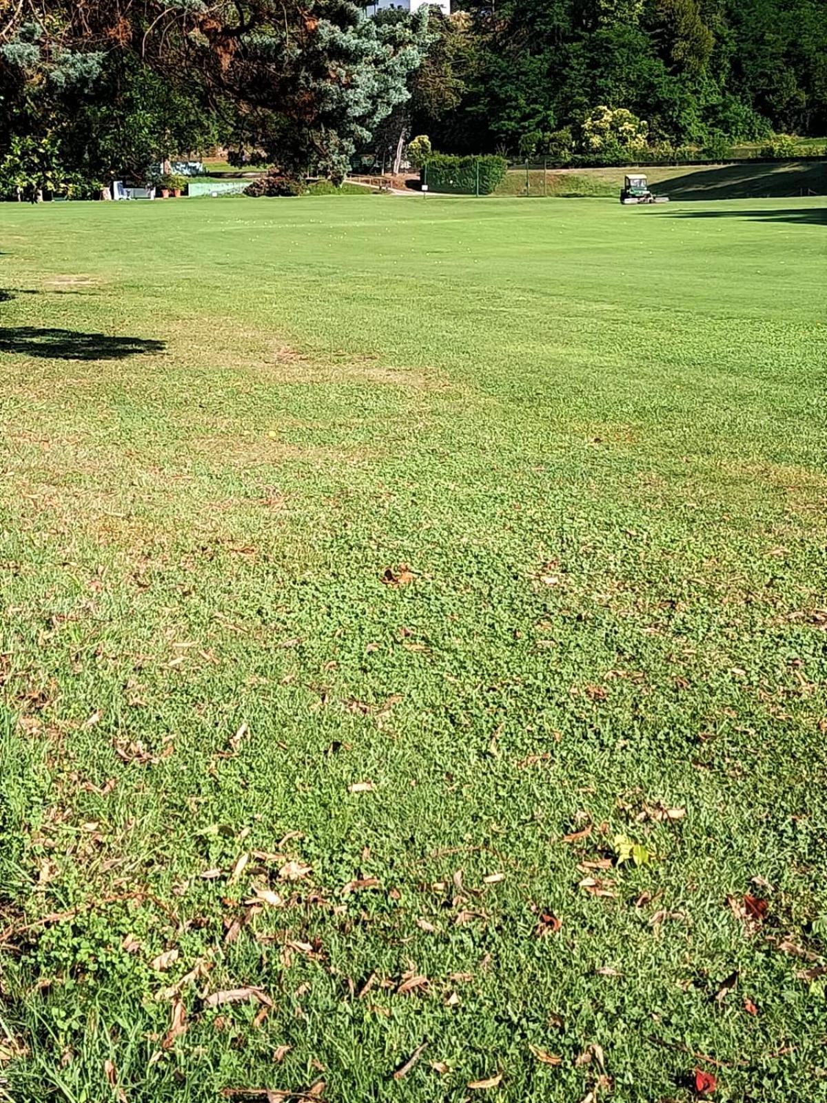 Fronte Del Golf Daire Rapallo Dış mekan fotoğraf